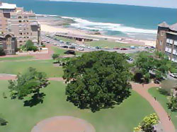 An Image of one of Newcastle's beaches