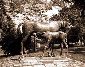 An Image of some Horses from Scone